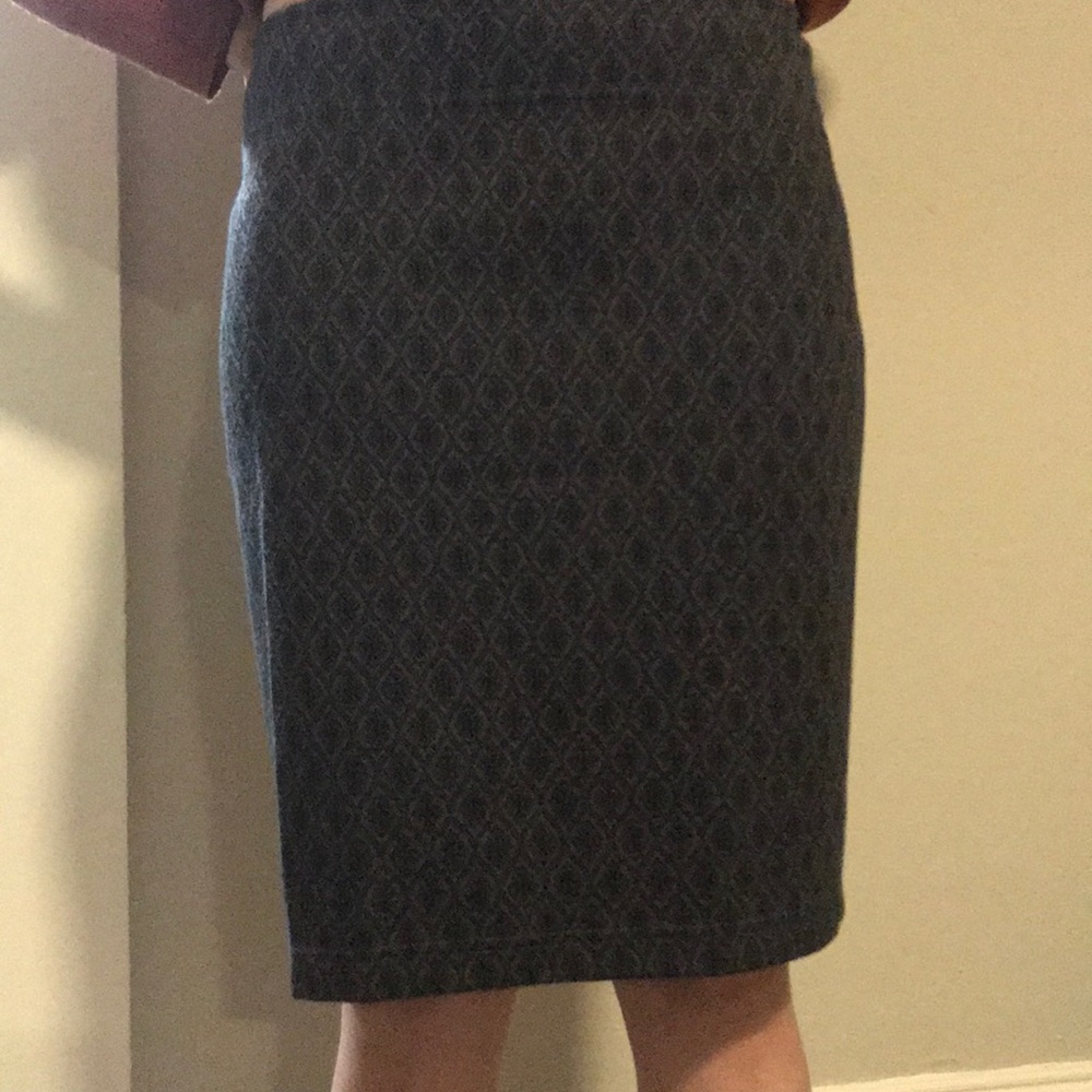 Gray brand new skirt